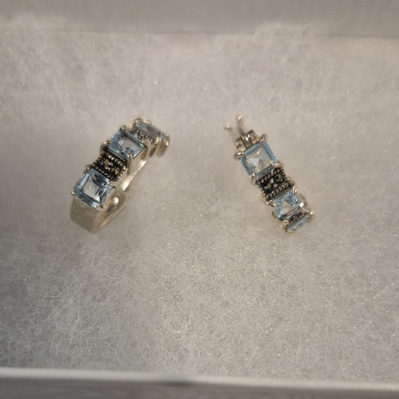 No brand Jewelry - Elegant Silver .925 and Blue Gemstone Earrings